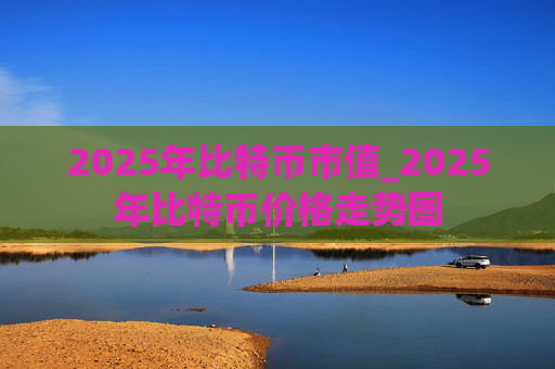 2025年比特币市值_2025年比特币价格走势图