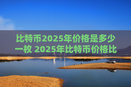 比特币2025年价格是多少一枚 2025年比特币价格比特币一枚价值