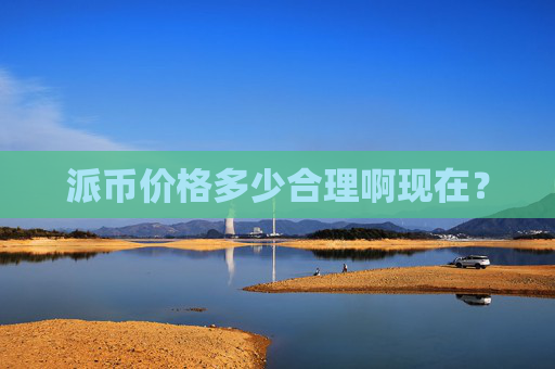 派币价格多少合理啊现在?