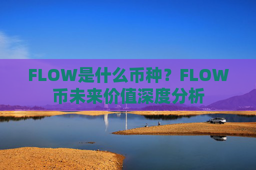 FLOW是什么币种？FLOW币未来价值深度分析