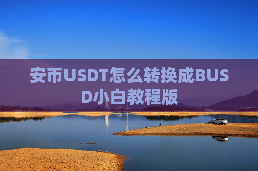 安币USDT怎么转换成BUSD小白教程版