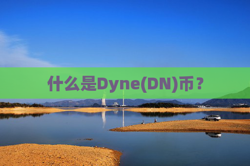 什么是Dyne(DN)币？