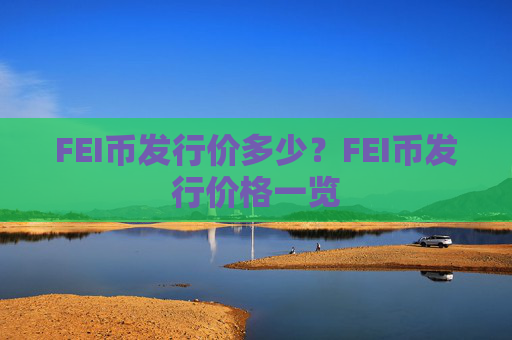 FEI币发行价多少？FEI币发行价格一览
