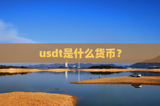 usdt是什么货币？