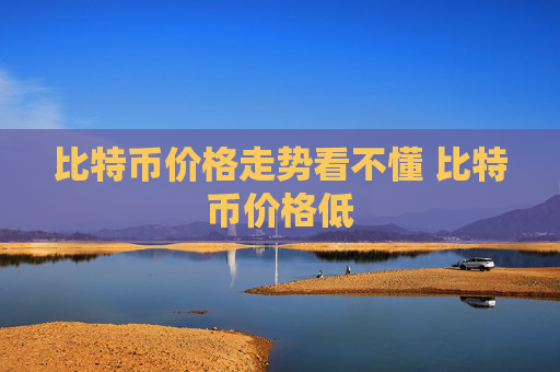 比特币价格走势看不懂 比特币价格低