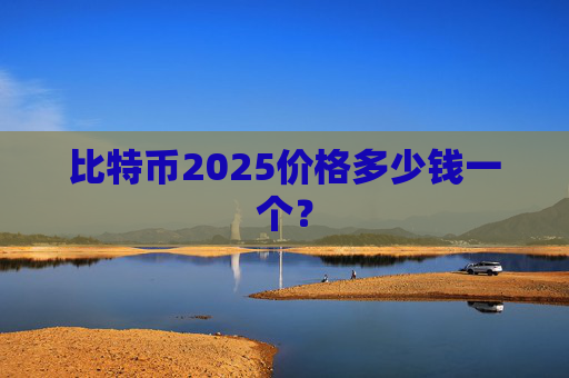 比特币2025价格多少钱一个？