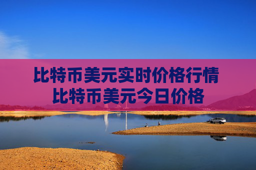 比特币美元实时价格行情 比特币美元今日价格
