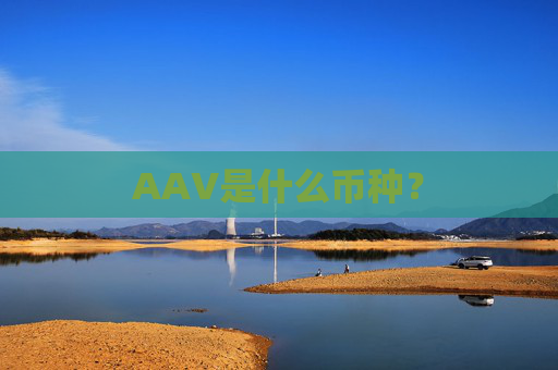 AAV是什么币种？