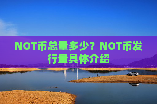 NOT币总量多少？NOT币发行量具体介绍