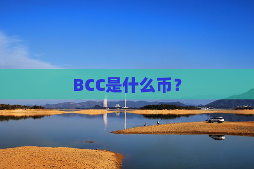 BCC是什么币？