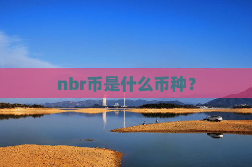 nbr币是什么币种？