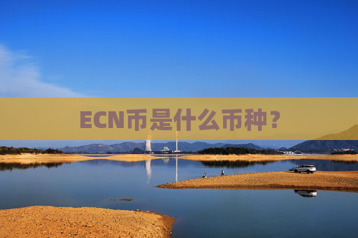 ECN币是什么币种？