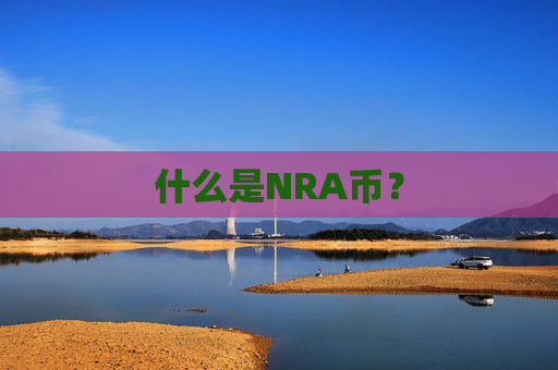 什么是NRA币？