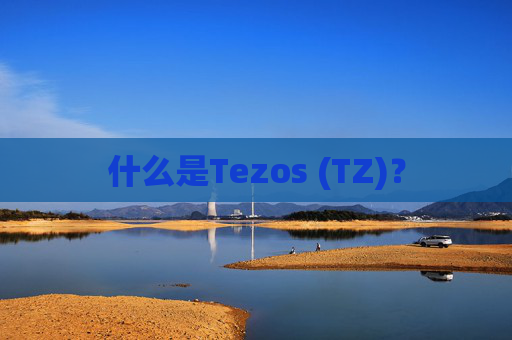 什么是Tezos (TZ)？