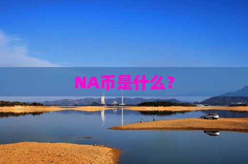 NA币是什么？