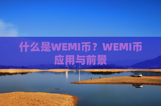 什么是WEMI币？WEMI币应用与前景