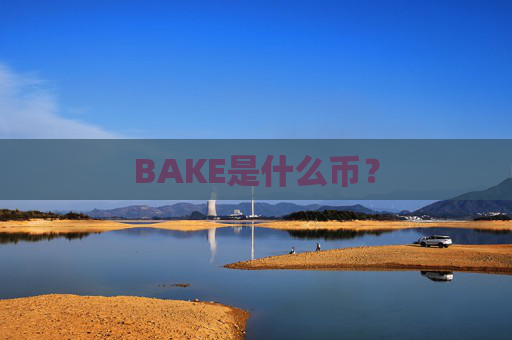 BAKE是什么币？