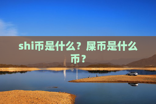 shi币是什么？屎币是什么币？