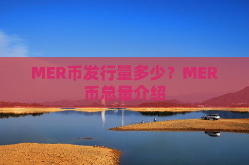 MER币发行量多少？MER币总量介绍