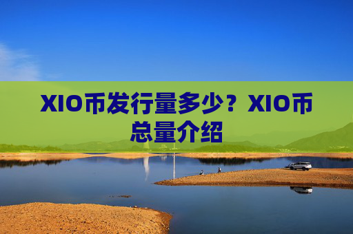 XIO币发行量多少？XIO币总量介绍
