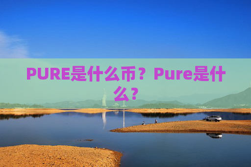 PURE是什么币？Pure是什么？