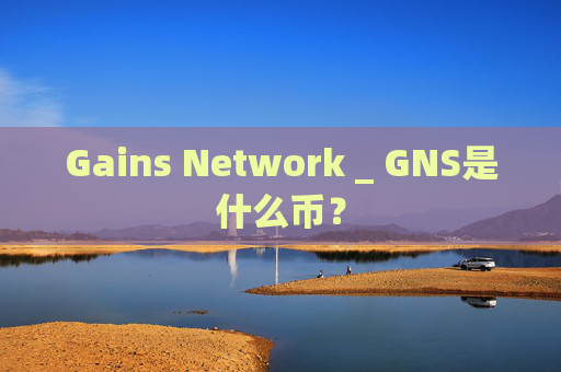 Gains Network _ GNS是什么币？