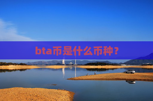 bta币是什么币种？