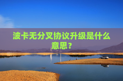 波卡无分叉协议升级是什么意思？