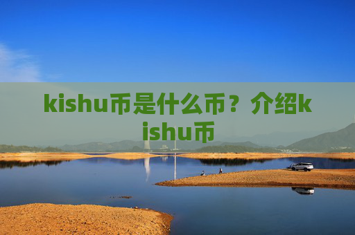 kishu币是什么币？介绍kishu币
