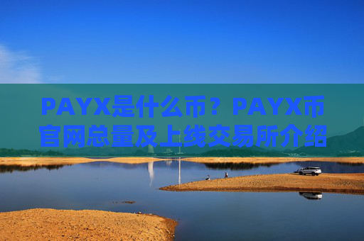 PAYX是什么币？PAYX币官网总量及上线交易所介绍