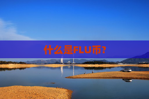 什么是FLU币?
