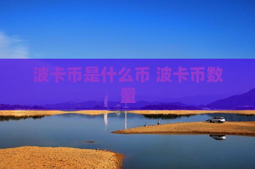 波卡币是什么币 波卡币数量