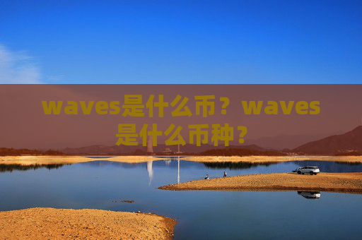 waves是什么币？waves是什么币种？