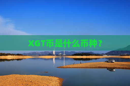 XGT币是什么币种？