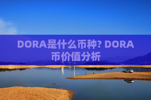 DORA是什么币种? DORA币价值分析