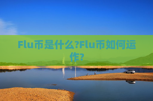 Flu币是什么?Flu币如何运作?