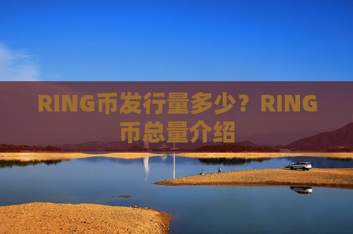 RING币发行量多少？RING币总量介绍