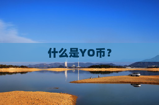 什么是YO币？