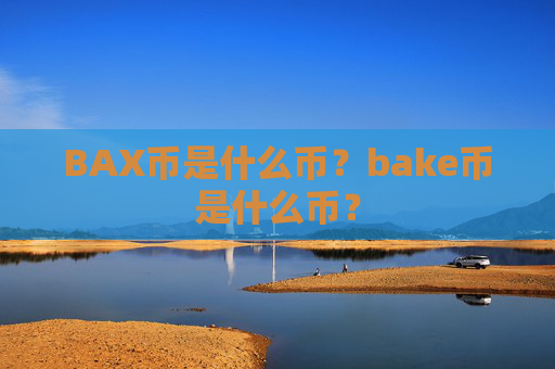 BAX币是什么币？bake币是什么币？