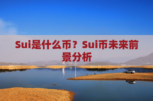 Sui是什么币？Sui币未来前景分析