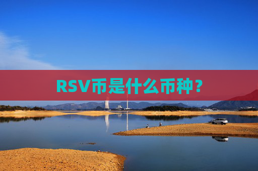 RSV币是什么币种?