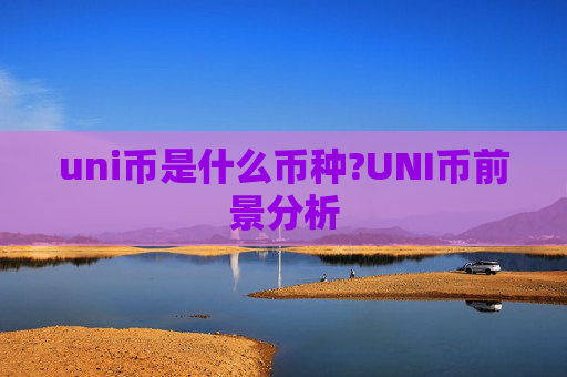 uni币是什么币种?UNI币前景分析