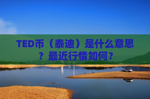 TED币（泰迪）是什么意思？最近行情如何？