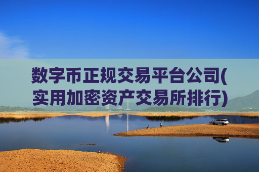 数字币正规交易平台公司(实用加密资产交易所排行)