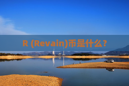 R (Revain)币是什么？