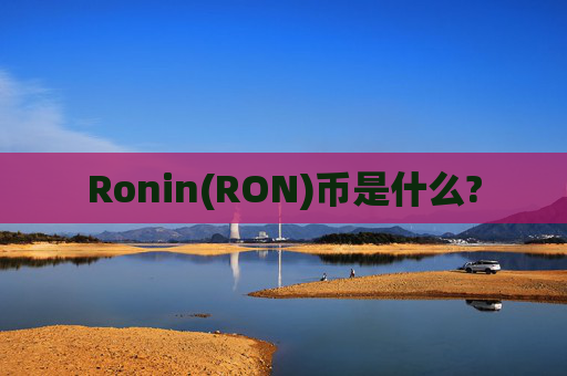 Ronin(RON)币是什么?