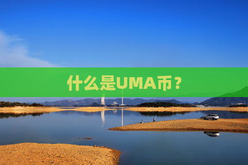 什么是UMA币？