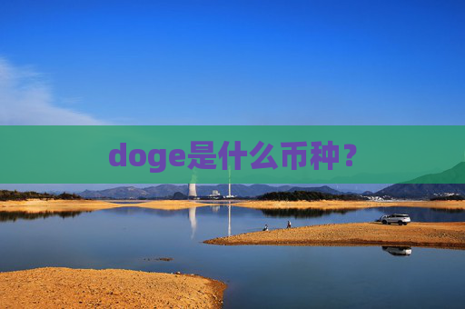 doge是什么币种？