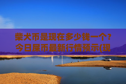 柴犬币是现在多少钱一个？今日屎币最新行情预示(现价0.00015916元)