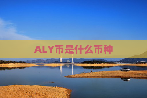 ALY币是什么币种